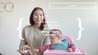 아이주도식 BLW | 처음 시작하는 부모들을 위한 Basic BLW