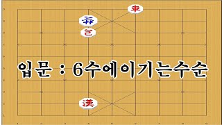 입문자를 위한 6수만에 궁잡는법 - 장기박보