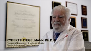 Robert F.  Diegelmann, Ph.D.