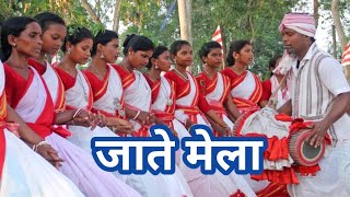 Jharkhandi Tribal Dance । Culture of Jharkhand