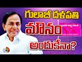 KCR | BRS Party | Gossip Garage | సంక్రాంతి తర్వాత ప్రజాక్షేత్రంలోకి గులాబీ బాస్‌ | 10TV News