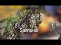 Night Air: Soil Samples