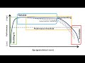 Geotechnical Slope Management: A Systematic Review of Deterioration Models for earthwork assets