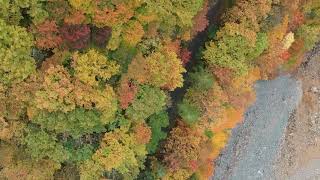 岩手県八幡平市松川空撮