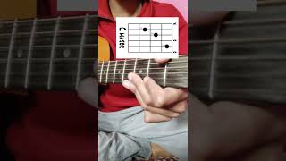 Pani da rang | Guitar intro | easy chords lesson full lesson #guitar #viral #chords