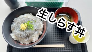 静岡県の田子の浦漁港で「生しらす丼」を頂きました　これはヤバイ旨さ