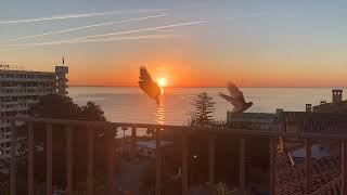 Benalmádena Sunrise | Costa Del Sol February 2024