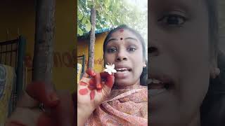 மகிழம்!பூ!வின்!நன்மைகள்! Mini #vlog#