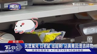 #獨家 民眾驚見「白老鼠」逛超商! 店員竟回:是吉祥物｜TVBS新聞