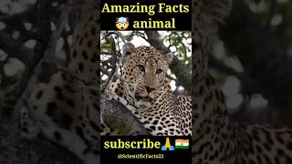 Amazing Facts animals 🤯 #shorts #youtubeshorts