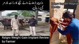 Ralgro weight gain Implant for cattle and goats Review by Farmer