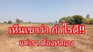 ถ้าจะให้ดี เราต้องทำเองทุกอย่าง!!