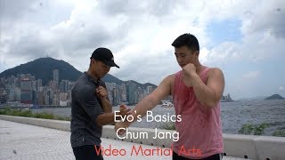 Southern Mantis Sinking Elbow - Chum Jang | Evo's Basics