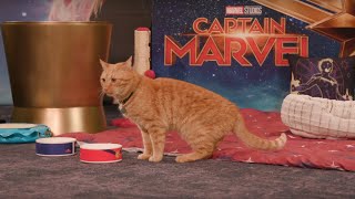 Marvel Studios’ Captain Marvel | Goose the Cat LIVE!