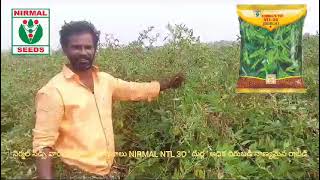 NIRMAL NTL 30 DURGA ( REDGRAM SEED)