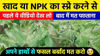 खाद या NPK का‌ स्प्रे करने से पत्तियां क्यों जल जाती हैं | 7 बड़ी गलतियां | NPK Fertilizer | Kapas