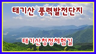 Hoengseong Taegisan Wind Power Complex | Taegi Mountain Clean Experience Trail #runPark