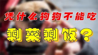 人类剩饭菜比精制狗粮对狗狗幼崽更有益？