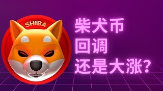 shib币 柴犬币 比特币 BTC 区块链 加密货币 最新行情走势分析，柴犬币短期回调还是空头预警？比特币今天会冲破103K吗？