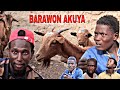 Dan gurgu barawon akuya ( A GIDAN NURA EPISODE 7 ) #comedy #funny #shortfilm #nuramilan