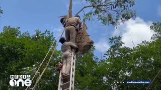 മരം മുറിക്കുന്നതിനിടെ മരത്തിൽ കുടുങ്ങി യുവാവ്... വലയിൽ കുരുക്കി രക്ഷപ്പെടുത്തി ഫയർഫോഴ്സ്