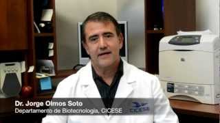 Ciencia CICESE - Dr. Jorge Olmos Soto (Avances contra el cáncer)