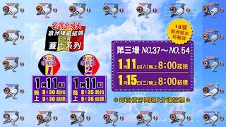 五洲網拍嚴選～歐洲銘鴿臻藏版－蓋比系列 第三場2羽領前鴿＆18羽名鴿出頭天 影音真實呈現