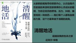 【有声书】《清醒地活》— 【美】迈克尔·辛格 第四集