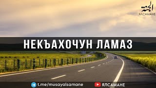 Некъахочун ламаз | Муса Ялсамане