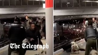 Moment man is attacked by 'XL Bully' on station platform