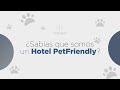 Motions Hotel Parada | Concepto Pet Friendly