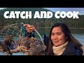 Catch and Cook  Ginataang kalabasa with Fresh Dungeness Crab 🦀  Episode 1