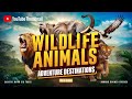 Wildlife Animals  Must-See Adventures Around the Globe! Wild and Free: Global Wildlife Adventures