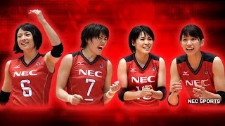 2017年3月Vリーグ女子ファイナル NECレッドロケッツvs久光製薬スプリングス