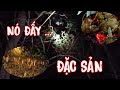 SĂN GÀ ĐÊM | TÌM NẤM MỐI ĐẦU MÙA | THỊT CU KHO NẤM .NẤM MỐI NẤU CHÁO GÀ CỰC NGON