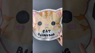 Cat Blind Bag!#blindbag #papersquishy #asmr #papercraft #diy #sanrio #youtubeshorts