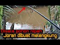 mancing ikan sembilang di muara