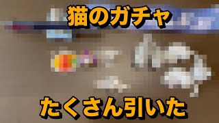 【ガチャガチャ開封】ネコのガチャたくさん引いたから開封する動画【ガチャガチャ】