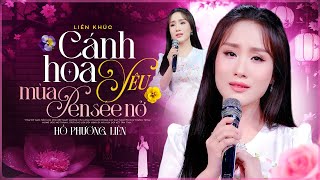 LK CÁNH HOA YÊU & Mùa Penseé Nở 🏵 Hồ Phương Liên ( Á Quân Thần Tượng Bolero 2017)