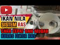 Membersihkan filter kolam ikan nila sistem RAS - Budikdamber sistem RAS