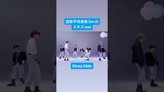 自称平均身長2mって真顔でサバよむスキズww #straykids　💟続きは▶︎から💟