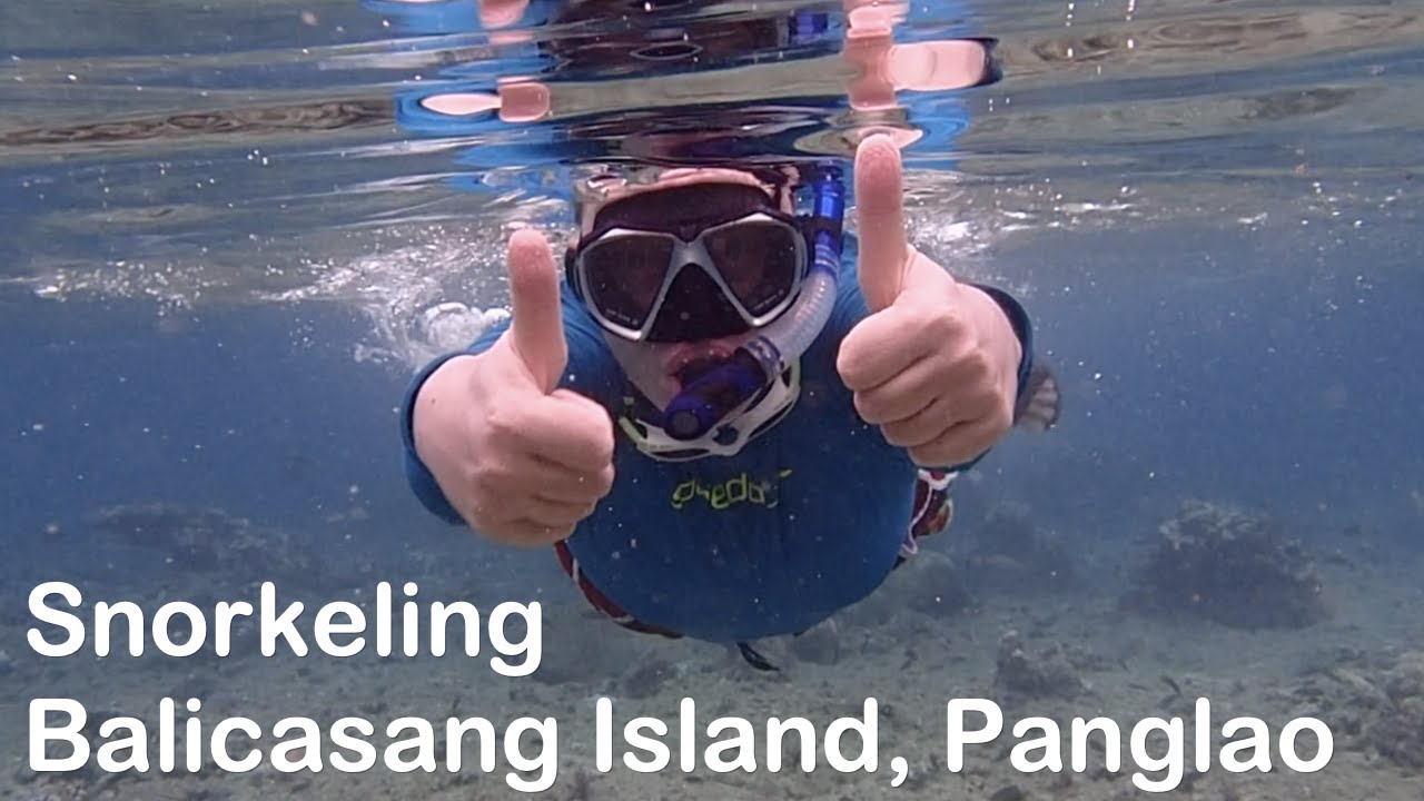 Snorkeling At Balicasag Island, Panglao Bohol Philippines - YouTube