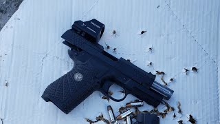 Wilson Combat EDC X9 and EGW RDS mount