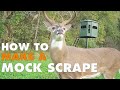 How to Make a Mock Scrape for Whitetail Deer