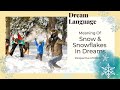 In Snowflakes and Snow Dreams | Biblical Perspectives