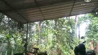 #Travel vlog 1 #Cherpunkal to Pala # പാലാ വരെ ഒരു യാത്ര