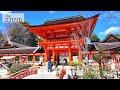 kamigamo shrine in kyoto japan beautiful cherry blossoms