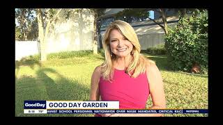 Fox 13 Laura Moody Tampa Bay 10 07 2021