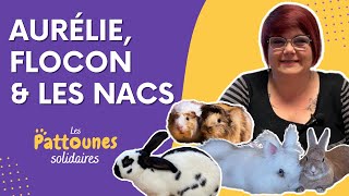 Belles adoptions - Aurélie, Flocon et les Nacs