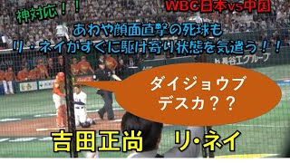 吉田正尚　リ・ネイ　神対応！！あわや顔面直撃の死球も中国リ・ネイがすぐに駆け寄り状態を気遣う！吉田も無事をアピール！！　WBC　日本対中国　WBC　日本対中国　2023/3/9 東京ドーム【現地映像】